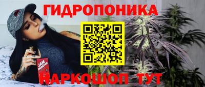крисы Изобильный