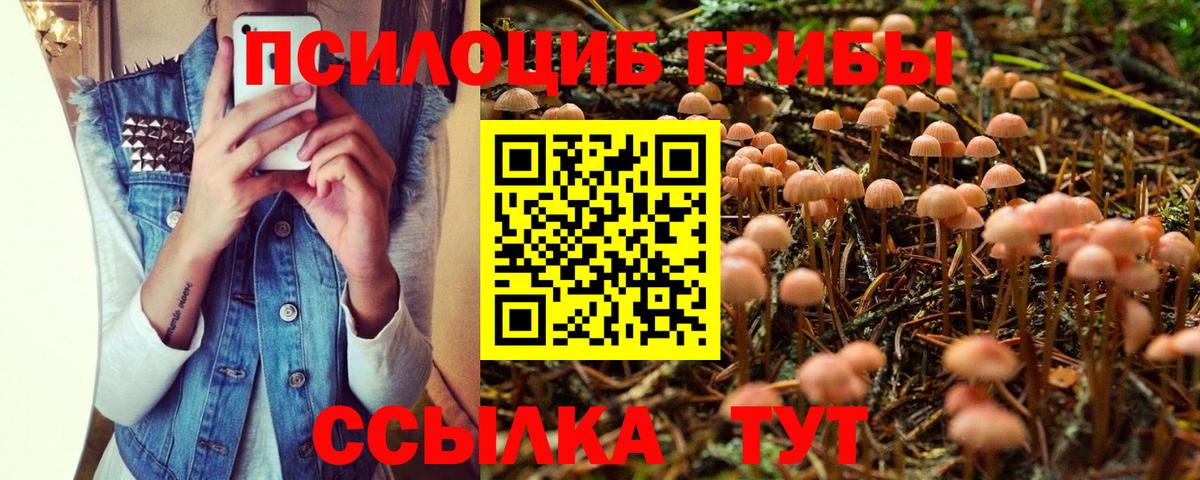 Галлюциногенные грибы Cubensis Кизилюрт