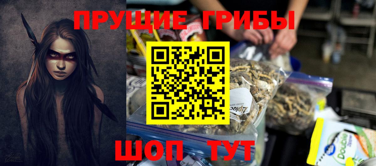 Галлюциногенные грибы Cubensis  Вход с VPN  Кизилюрт 